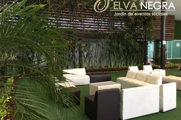 38022276_303827983517006_1416499537278664704_o-600x400