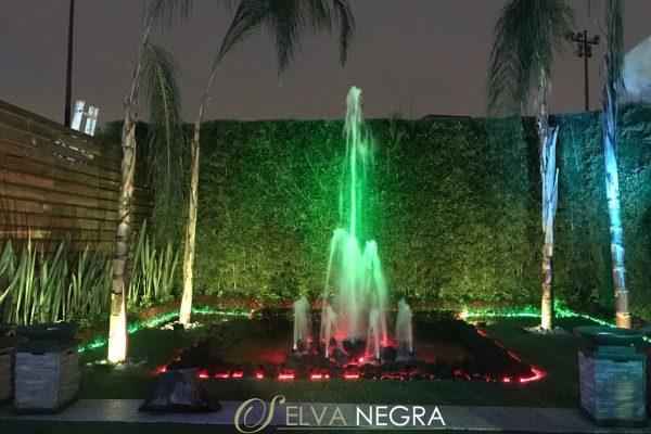 WhatsApp-Image-2018-08-10-at-8.53.43-PM-600x400